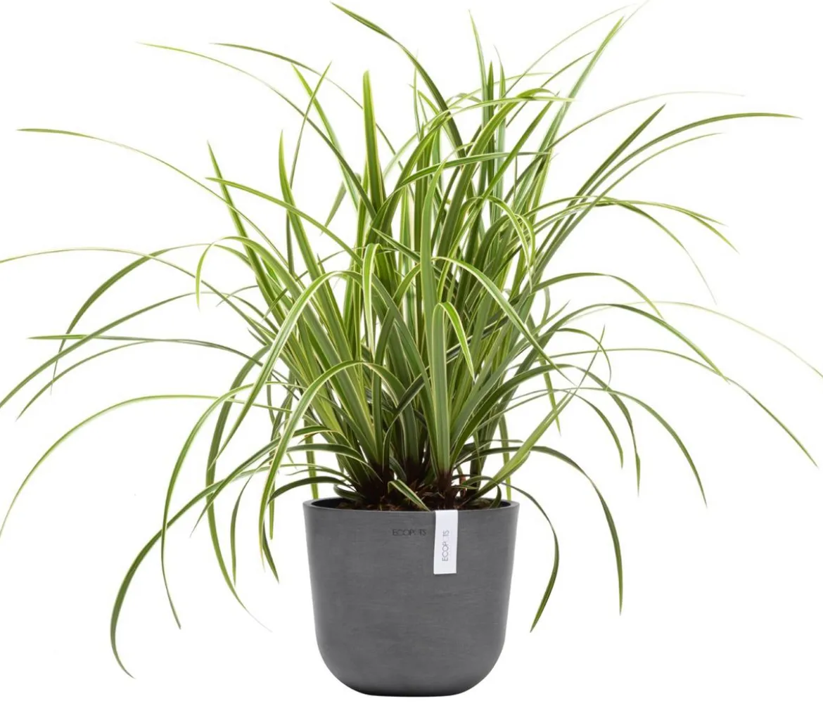 Ecopots Kunststoff-Topf Oslo Mini, rund