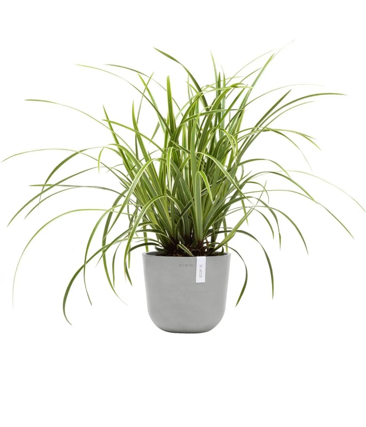 Ecopots Kunststoff-Topf Oslo Mini, rund
