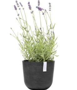 Ecopots Kunststoff-Topf Oslo Mini, rund