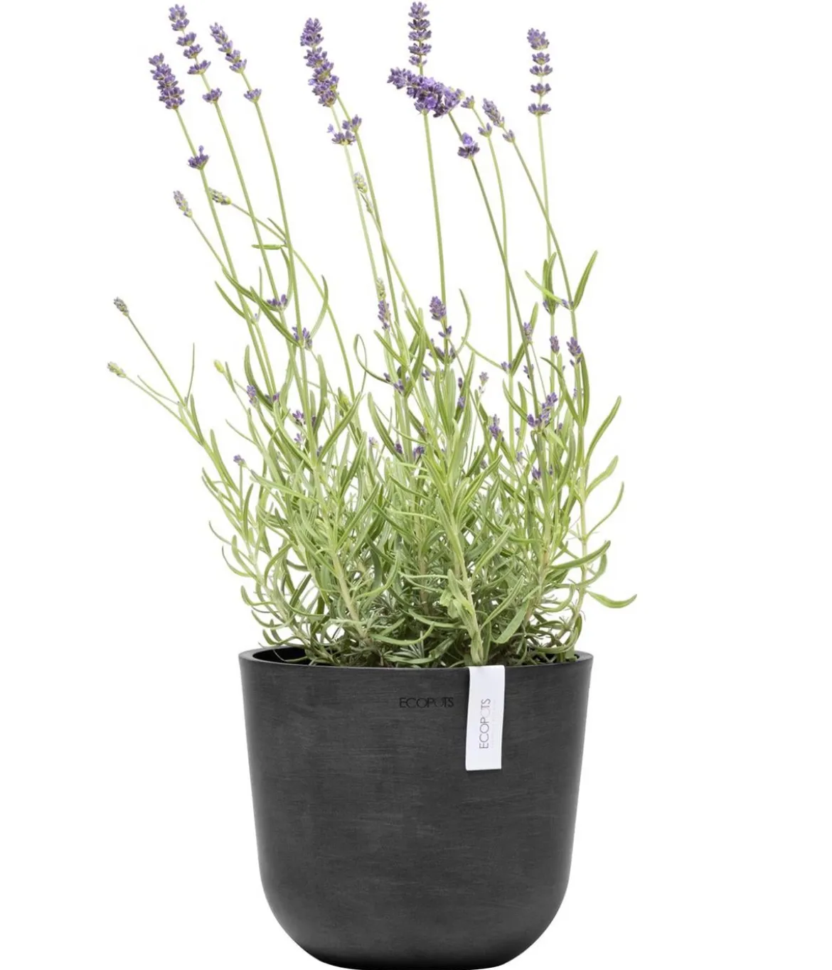 Ecopots Kunststoff-Topf Oslo Mini, rund