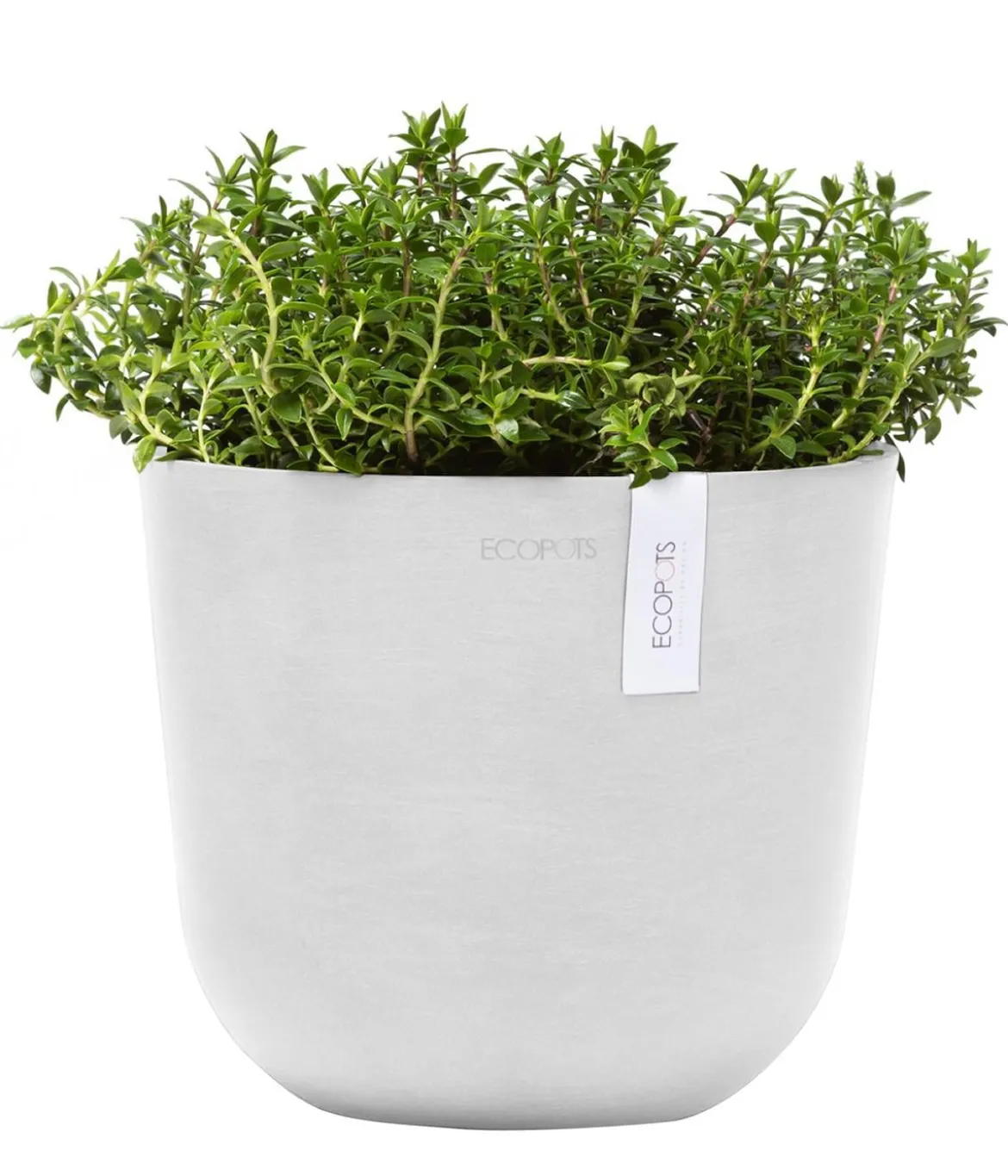 Ecopots Kunststoff-Topf Oslo Mini, rund