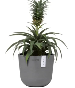 Ecopots Kunststoff-Topf Oslo Mini, rund