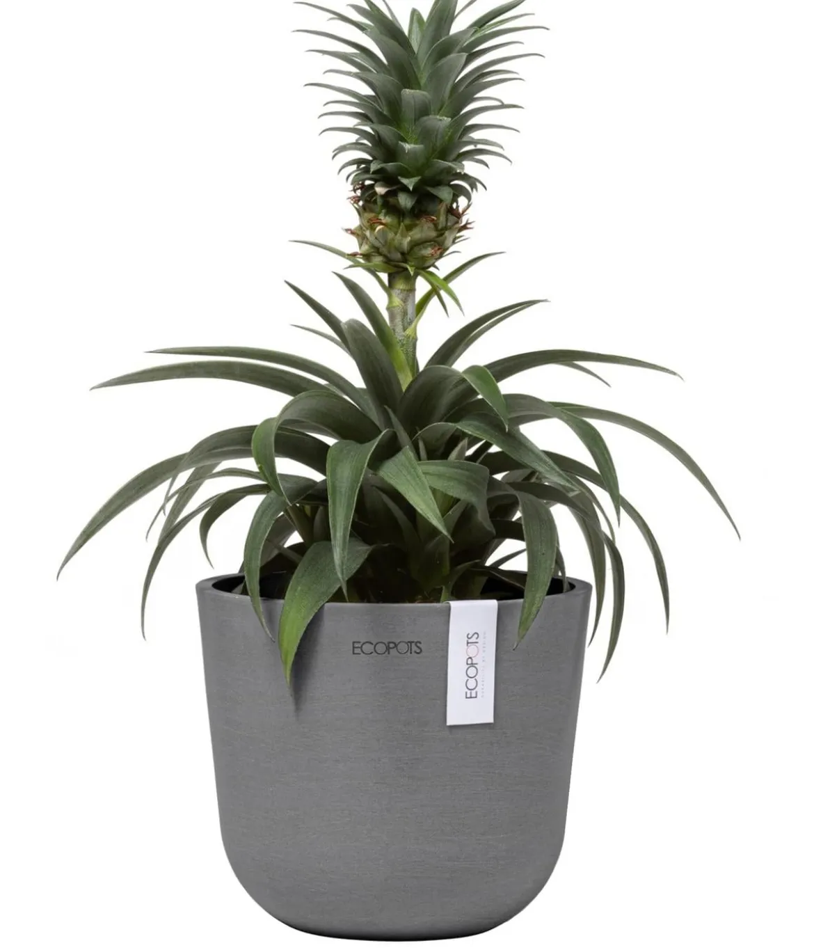 Ecopots Kunststoff-Topf Oslo Mini, rund