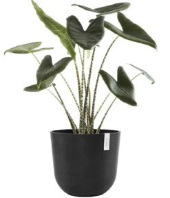 Ecopots Kunststoff-Topf Oslo mit Wassersystem, rund