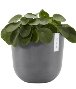 Ecopots Kunststoff-Topf Oslo mit Wassersystem, rund