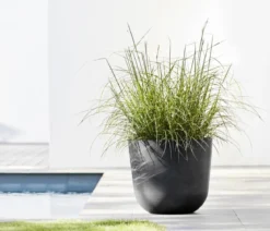 Ecopots Kunststoff-Topf Oslo mit Wassersystem, rund
