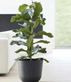 Ecopots Kunststoff-Topf Oslo mit Wassersystem, rund