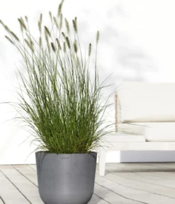 Ecopots Kunststoff-Topf Oslo mit Wassersystem, rund