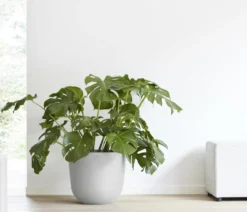 Ecopots Kunststoff-Topf Oslo mit Wassersystem, rund