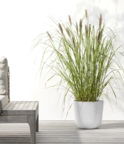 Ecopots Kunststoff-Topf Oslo mit Wassersystem, rund