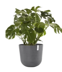 Ecopots Kunststoff-Topf Oslo mit Wassersystem, rund