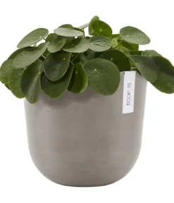 Ecopots Kunststoff-Topf Oslo mit Wassersystem, rund