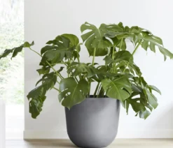 Ecopots Kunststoff-Topf Oslo mit Wassersystem, rund