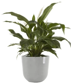 Ecopots Kunststoff-Topf Oslo mit Wassersystem, rund