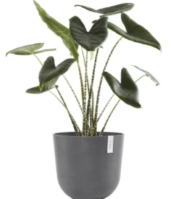 Ecopots Kunststoff-Topf Oslo mit Wassersystem, rund