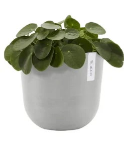 Ecopots Kunststoff-Topf Oslo mit Wassersystem, rund