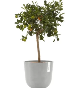 Ecopots Kunststoff-Topf Oslo mit Wassersystem, rund