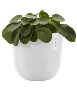 Ecopots Kunststoff-Topf Oslo mit Wassersystem, rund