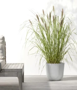Ecopots Kunststoff-Topf Oslo mit Wassersystem, rund