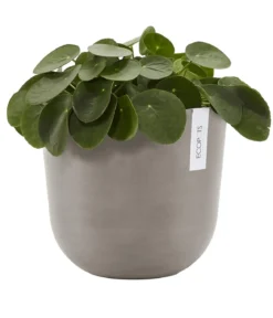 Ecopots Kunststoff-Topf Oslo, rund