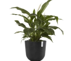Ecopots Kunststoff-Topf Oslo, rund