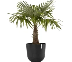Ecopots Kunststoff-Topf Oslo, rund