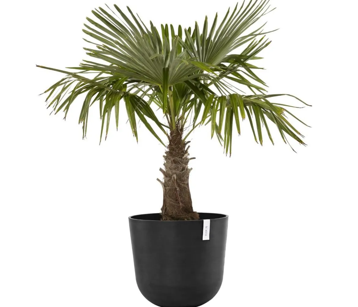 Ecopots Kunststoff-Topf Oslo, rund