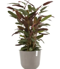 Ecopots Kunststoff-Topf Oslo, rund