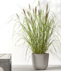 Ecopots Kunststoff-Topf Oslo, rund