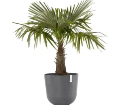 Ecopots Kunststoff-Topf Oslo, rund