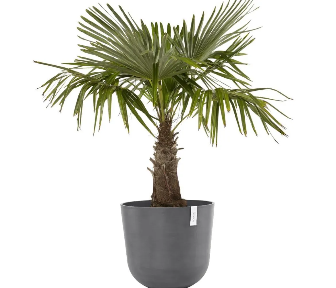 Ecopots Kunststoff-Topf Oslo, rund