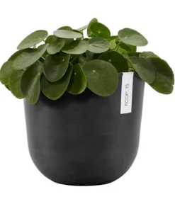 Ecopots Kunststoff-Topf Oslo, rund