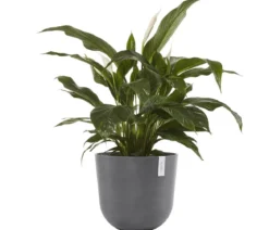 Ecopots Kunststoff-Topf Oslo, rund