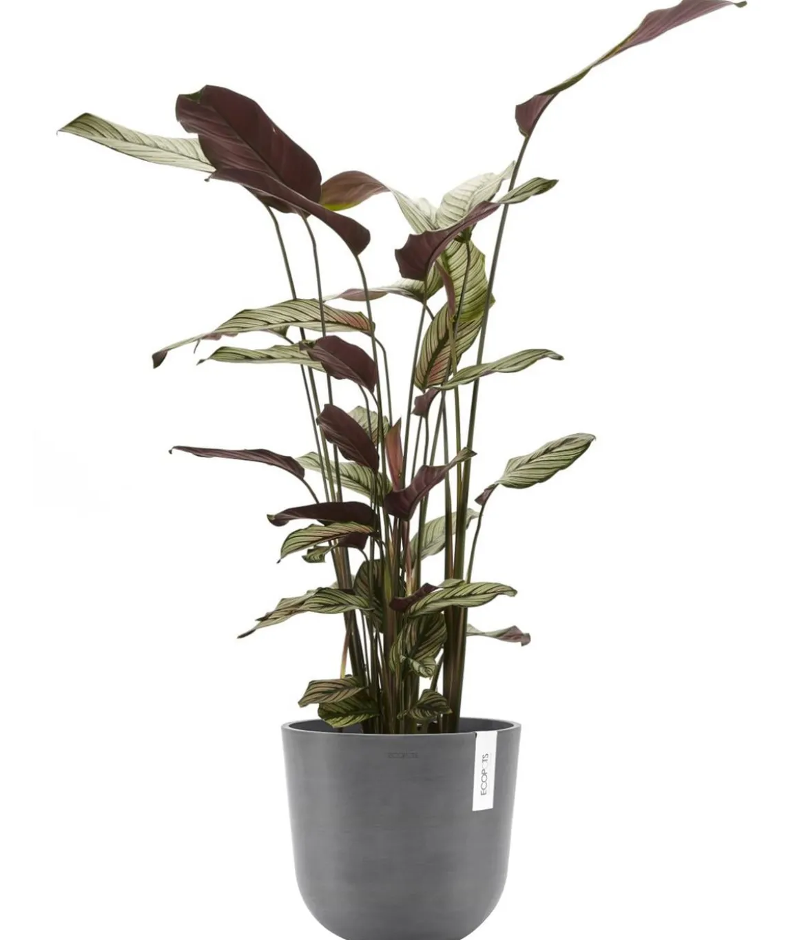 Ecopots Kunststoff-Topf Oslo, rund