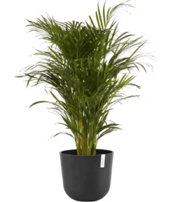 Ecopots Kunststoff-Topf Oslo, rund