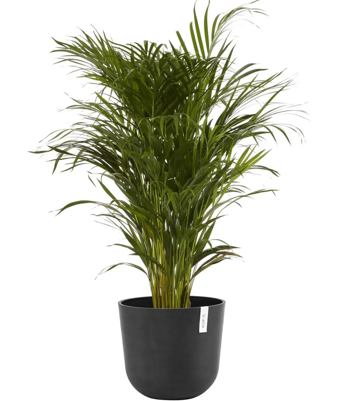 Ecopots Kunststoff-Topf Oslo, rund