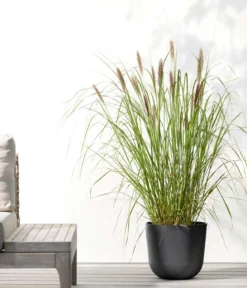 Ecopots Kunststoff-Topf Oslo, rund