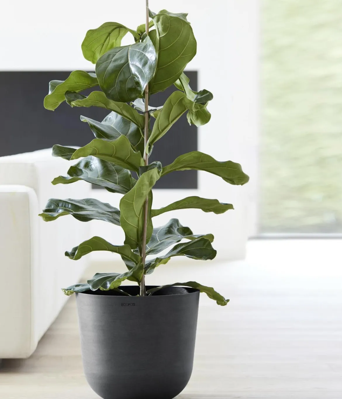 Ecopots Kunststoff-Topf Oslo, rund