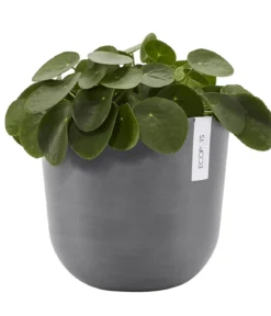 Ecopots Kunststoff-Topf Oslo, rund