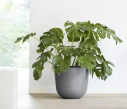 Ecopots Kunststoff-Topf Oslo, rund