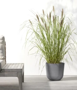 Ecopots Kunststoff-Topf Oslo, rund