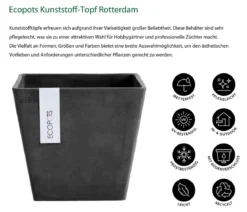 Ecopots Kunststoff-Topf Rotterdam, quadratisch