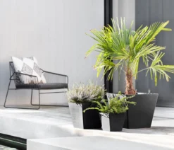 Ecopots Kunststoff-Topf Rotterdam, quadratisch