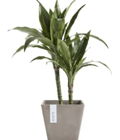 Ecopots Kunststoff-Topf Rotterdam, quadratisch