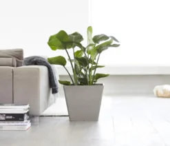 Ecopots Kunststoff-Topf Rotterdam, quadratisch
