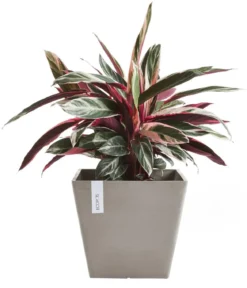 Ecopots Kunststoff-Topf Rotterdam, quadratisch