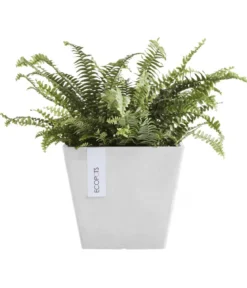 Ecopots Kunststoff-Topf Rotterdam, quadratisch