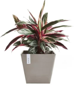 Ecopots Kunststoff-Topf Rotterdam, quadratisch
