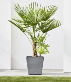 Ecopots Kunststoff-Topf Rotterdam mit Rollen und Wassersystem, quadratisch