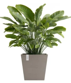 Ecopots Kunststoff-Topf Rotterdam mit Wassersystem, quadratisch